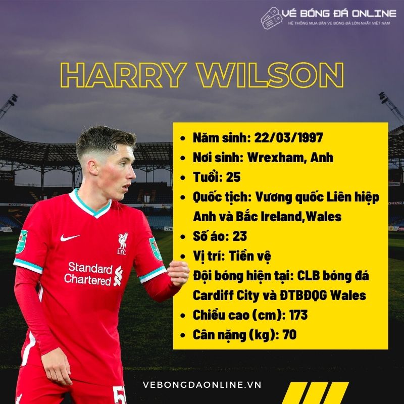 Thông tin cầu thủ Harry Wilson